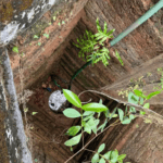 ಆಕಸ್ಮಿಕವಾಗಿ ಬಾವಿಗೆ ಬಿದ್ದ ಪತ್ನಿ; ಪತ್ನಿಯನ್ನು ರಕ್ಷಿಸಲು ಬಾವಿಗೆ ಹಾರಿದ ಪತಿ; ತೀವ್ರ ಅಸ್ವಸ್ಥಗೊಂಡ ದಂಪತಿ ಆಸ್ಪತ್ರೆಗೆ ದಾಖಲು