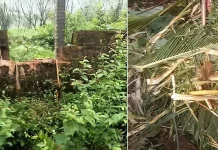 ಸಂಪಾಜೆ ಪರಿಸರದಲ್ಲಿ ಕಾಡಾನೆಗಳ ಹಾವಳಿ: ಬೆಳೆ ನಾಶ, ಜನರಲ್ಲಿ ಆತಂಕ